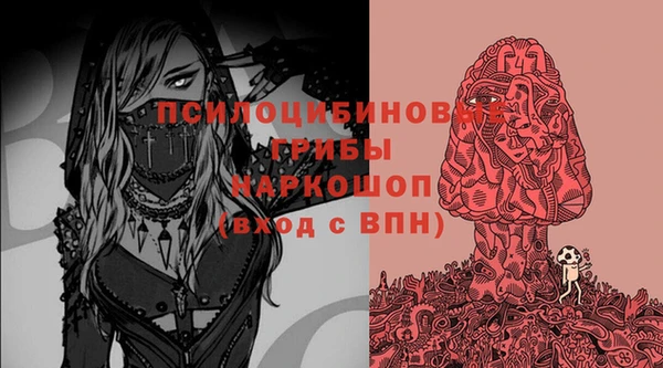 спиды Вяземский