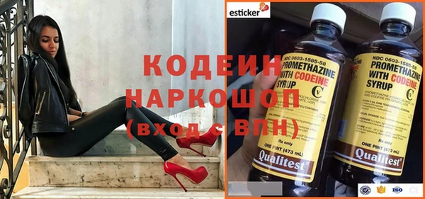 спиды Вяземский