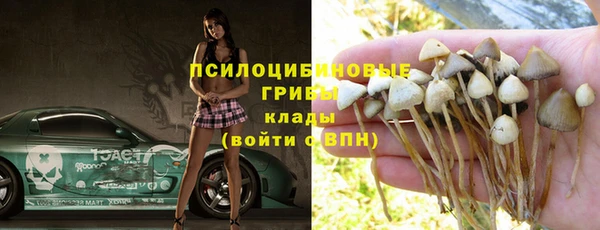 спиды Вяземский