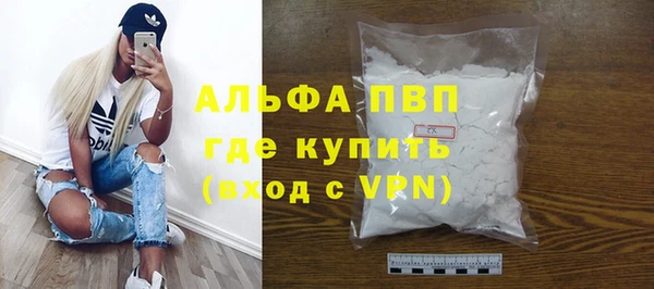 спиды Вяземский